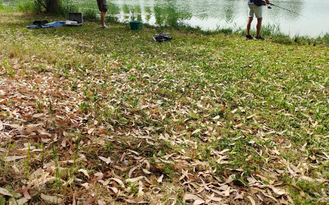 Progetto weekend: scacco matto al gioco d’azzardo con ergoterapia e socialità