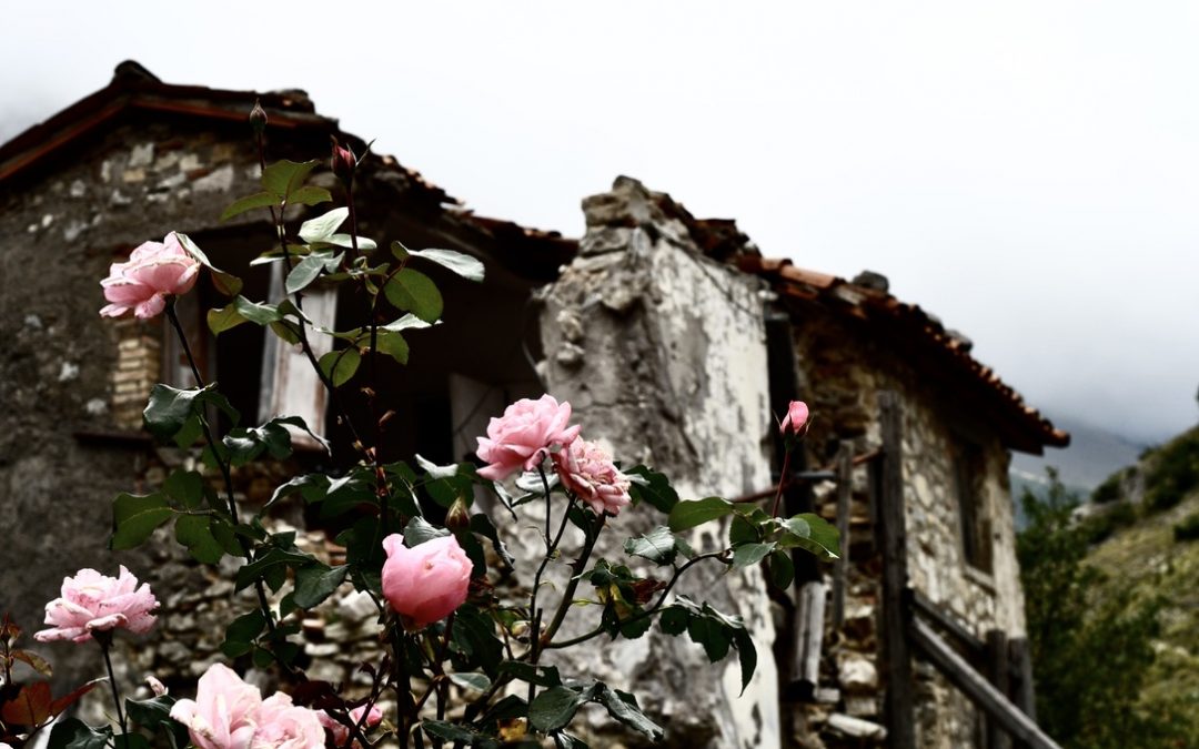 È possibile essere dipendenti da qualcosa che non sia una sostanza?